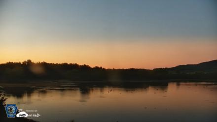 Pennsylvania Snow Geese Live Webcam - Sep 11, 2026, 7:31pm EDT