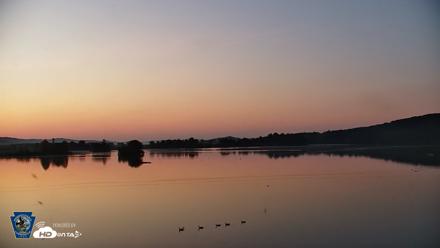 Pennsylvania Snow Geese Live Webcam - Jul 14, 2026, 5:36am EDT