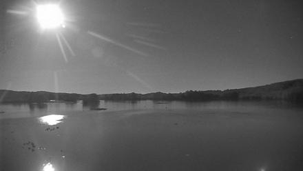 Pennsylvania Snow Geese Live Webcam - Oct 8, 2025, 8:46pm EDT