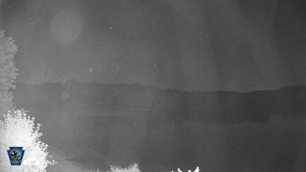 Pennsylvania Snow Geese Live Webcam - Aug 21, 2026, 12:49am EDT