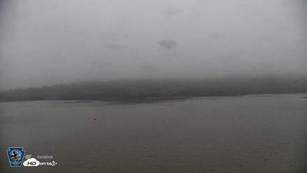 Pennsylvania Snow Geese Live Webcam - Oct 16, 2026, 8:57am EDT
