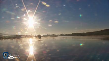 Pennsylvania Snow Geese Live Webcam - Aug 25, 2026, 7:10am EDT