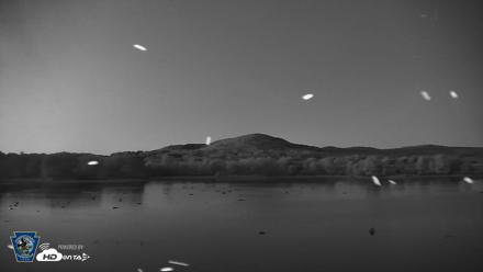 Pennsylvania Snow Geese Live Webcam - Sep 11, 2026, 7:53pm EDT