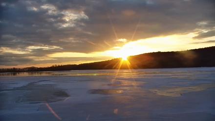 Pennsylvania Snow Geese Live Webcam - Dec 17, 2025, 7:43am EST
