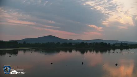 Pennsylvania Snow Geese Live Webcam - Aug 12, 2026, 6:22am EDT