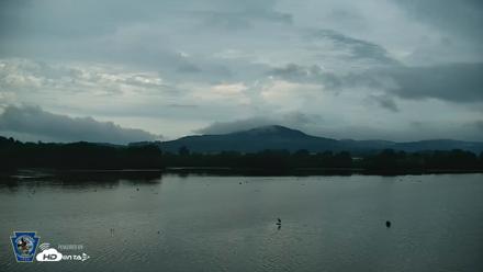 Pennsylvania Snow Geese Live Webcam - Jul 6, 2026, 5:38am EDT