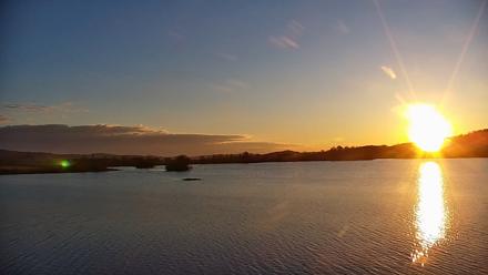 Pennsylvania Snow Geese Live Webcam - Nov 13, 2025, 7:06am EST