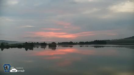 Pennsylvania Snow Geese Live Webcam - Aug 28, 2026, 6:26am EDT