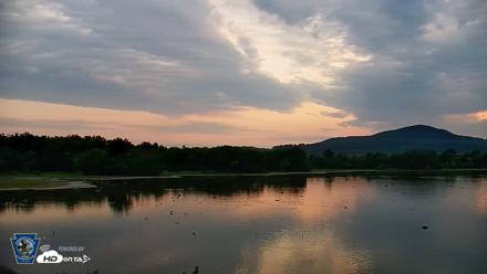 Pennsylvania Snow Geese Live Webcam - Jul 22, 2026, 6:19am EDT