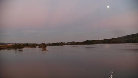 Pennsylvania Snow Geese Live Webcam - Oct 4, 2025, 6:56pm EDT