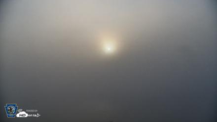 Pennsylvania Snow Geese Live Webcam - Apr 27, 2026, 6:51am EDT