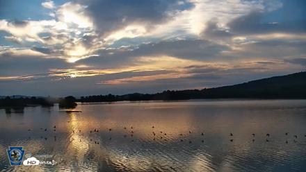 Pennsylvania Snow Geese Live Webcam - Sep 10, 2026, 7:06am EDT