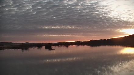 Pennsylvania Snow Geese Live Webcam - Nov 5, 2025, 6:10am EST