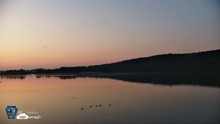 Pennsylvania Snow Geese Live Webcam - Jul 14, 2026, 5:35am EDT