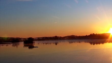Pennsylvania Snow Geese Live Webcam - Nov 2, 2025, 6:47am EST