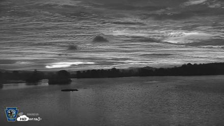 Pennsylvania Snow Geese Live Webcam - Oct 1, 2026, 6:35am EDT