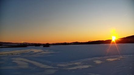 Pennsylvania Snow Geese Live Webcam - Jan 28, 2026, 7:28am EST