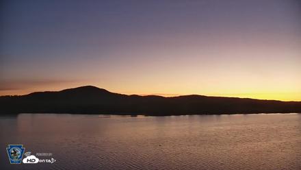 Pennsylvania Snow Geese Live Webcam - Apr 28, 2026, 5:47am EDT