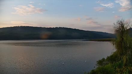 Pennsylvania Snow Geese Live Webcam - Sep 23, 2025, 7:23am EDT