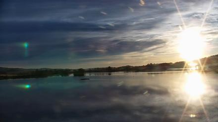 Pennsylvania Snow Geese Live Webcam - Nov 7, 2025, 7:16am EST