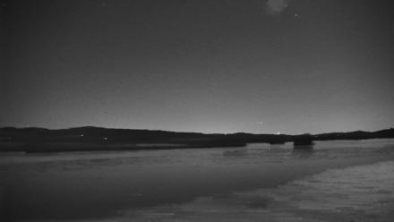 Pennsylvania Snow Geese Live Webcam - Mar 1, 2026, 8:01pm EST