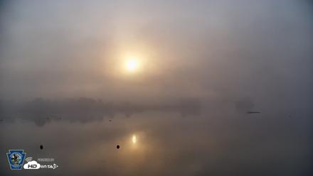 Pennsylvania Snow Geese Live Webcam - Jun 29, 2026, 6:24am EDT