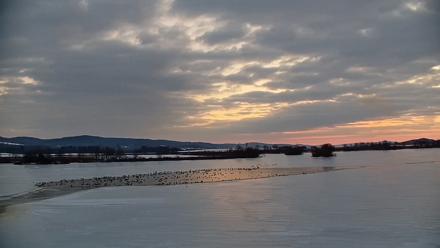 Pennsylvania Snow Geese Live Webcam - Feb 11, 2026, 7:09am EST