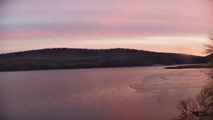 Pennsylvania Snow Geese Live Webcam - Jan 12, 2026, 5:07pm EST