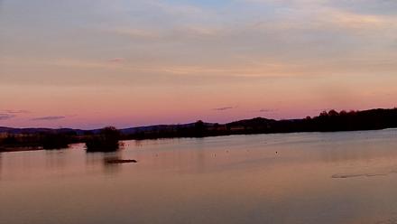 Pennsylvania Snow Geese Live Webcam - Nov 6, 2025, 4:53pm EST