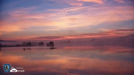 Pennsylvania Snow Geese Live Webcam - Oct 2, 2026, 6:52am EDT