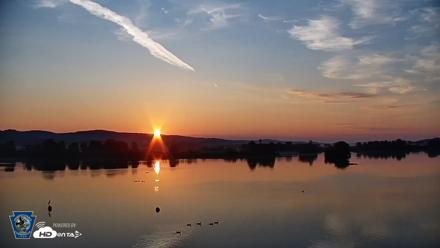 Pennsylvania Snow Geese Live Webcam - Jul 12, 2026, 6:00am EDT