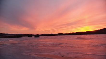 Pennsylvania Snow Geese Live Webcam - Jan 24, 2026, 7:14am EST
