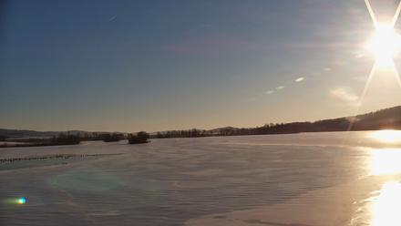 Pennsylvania Snow Geese Live Webcam - Feb 5, 2026, 8:21am EST