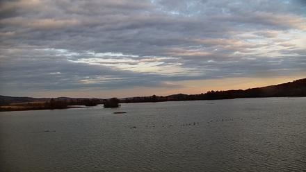 Pennsylvania Snow Geese Live Webcam - Nov 5, 2025, 4:33pm EST