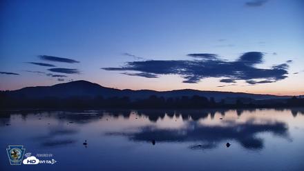 Pennsylvania Snow Geese Live Webcam - Aug 25, 2026, 6:09am EDT