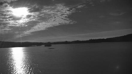 Pennsylvania Snow Geese Live Webcam - Nov 5, 2025, 6:09pm EST