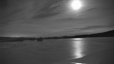 Pennsylvania Snow Geese Live Webcam - Feb 4, 2026, 10:21pm EST