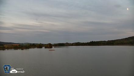 Pennsylvania Snow Geese Live Webcam - Sep 23, 2026, 7:02pm EDT