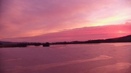 Pennsylvania Snow Geese Live Webcam - Dec 4, 2025, 7:07am EST