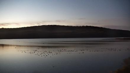 Pennsylvania Snow Geese Live Webcam - Oct 27, 2025, 6:57am EDT