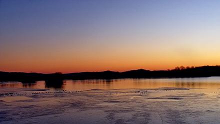 Pennsylvania Snow Geese Live Webcam - Dec 22, 2025, 7:14am EST