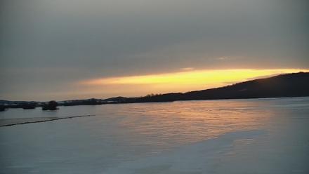 Pennsylvania Snow Geese Live Webcam - Feb 10, 2026, 6:46am EST