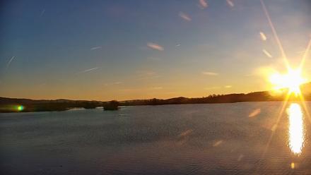 Pennsylvania Snow Geese Live Webcam - Nov 24, 2025, 7:23am EST