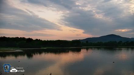 Pennsylvania Snow Geese Live Webcam - Jul 22, 2026, 6:15am EDT
