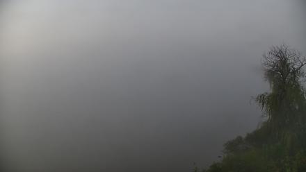 Pennsylvania Snow Geese Live Webcam - Oct 4, 2025, 7:03am EDT