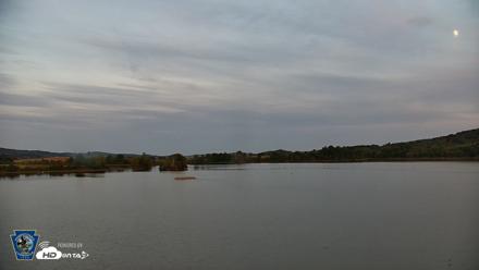Pennsylvania Snow Geese Live Webcam - Sep 23, 2026, 7:02pm EDT