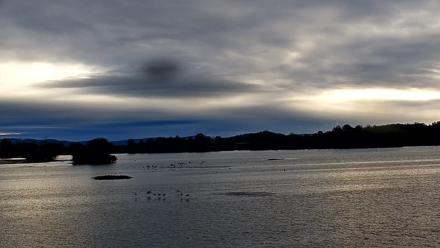 Pennsylvania Snow Geese Live Webcam - Oct 14, 2025, 8:11am EDT