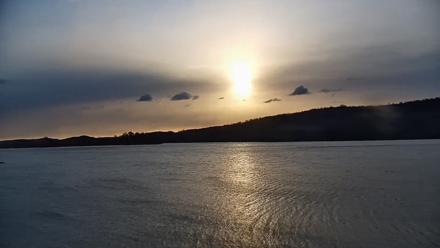 Pennsylvania Snow Geese Live Webcam - Nov 11, 2025, 7:32am EST