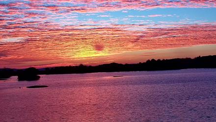 Pennsylvania Snow Geese Live Webcam - Oct 7, 2025, 7:00am EDT