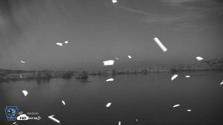 Pennsylvania Snow Geese Live Webcam - Sep 11, 2026, 7:57pm EDT
